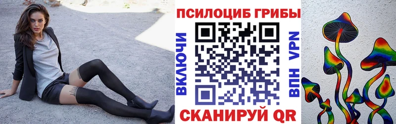 Псилоцибиновые грибы Psilocybe  Лабинск 