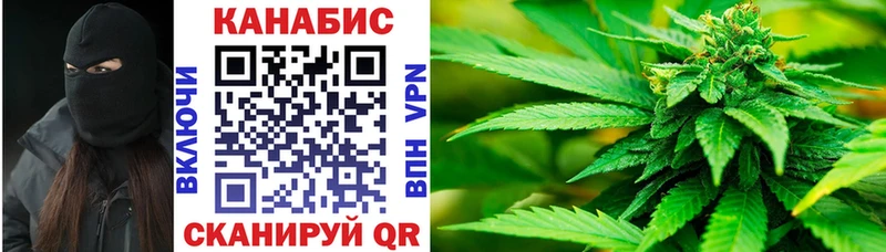 Каннабис план Лабинск